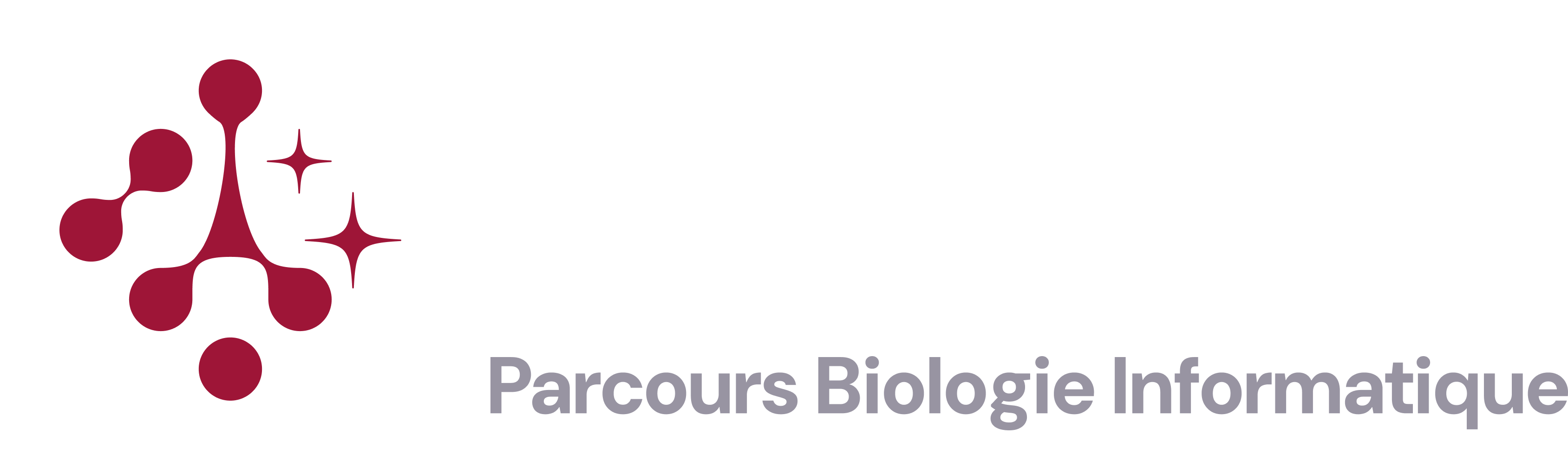 Logo Master Bioinformatique