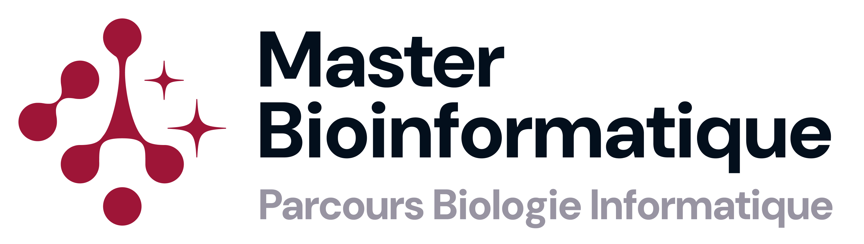 Logo Master Bioinformatique